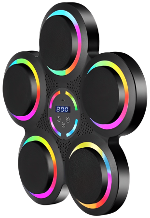 Купить SUNTEK Music Boxing Machine (MB10)