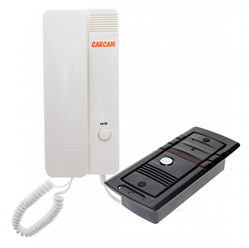 Купить CARCAM AD-810RT