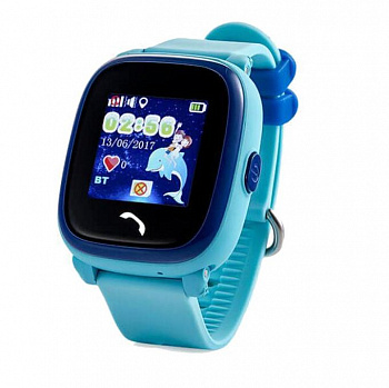 Купить CARCAM GW400S Blue