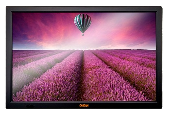 Купить CARCAM 16" LED TV DVB-T2/Analog 3600 mAh (CCLED16B)