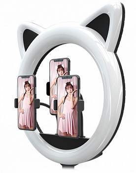 Купить Кольцевая лампа Ring Light Cat 32cm (без штатива)