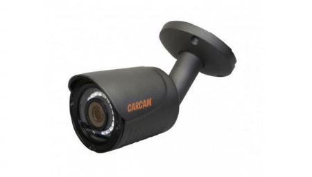 Купить Муляж CARCAM CAM-802