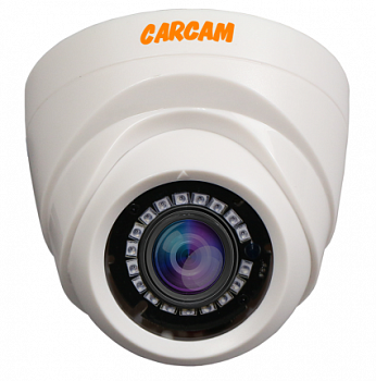 Купить Муляж CARCAM CAM-1888P
