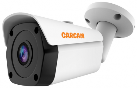 Купить Муляж CARCAM CAM-2897PSD