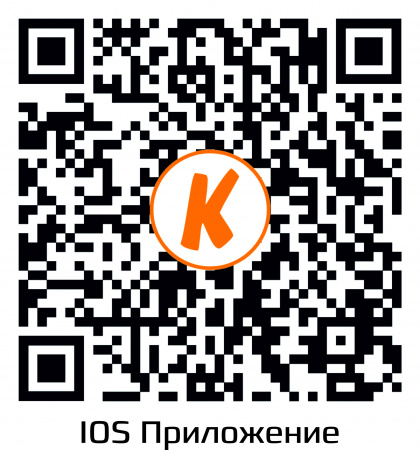 Купить CARCAM CAM-5895P