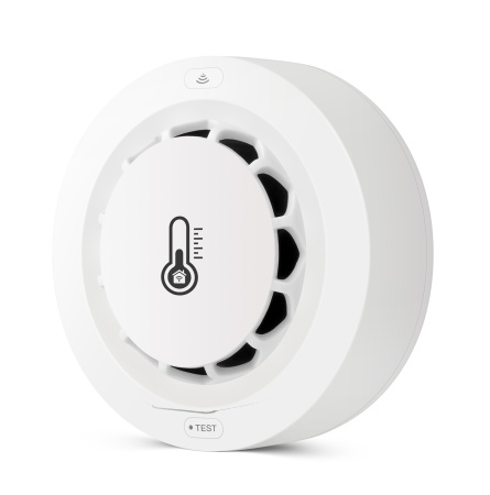 Купить CARCAM Tuya WIFI Smoke sensor 228WTH