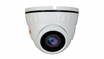 Купить CARCAM CAM-4889P