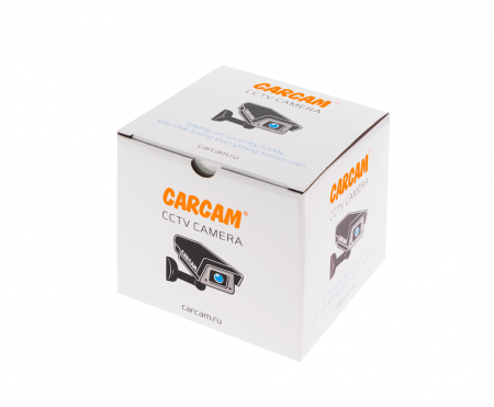 Купить CARCAM CAM-4897MPSD