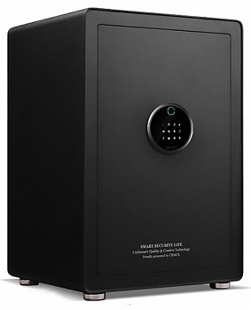 Купить Xiaomi CRMCR Cayo Anno Iron Safe Box Black (BGX-X1-60MP)