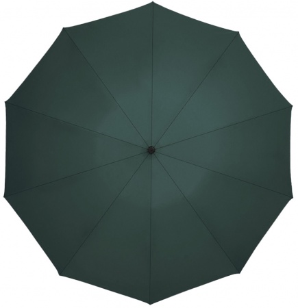 Купить Xiaomi Zuodu Full Automatic Umbrella Led Dark Green