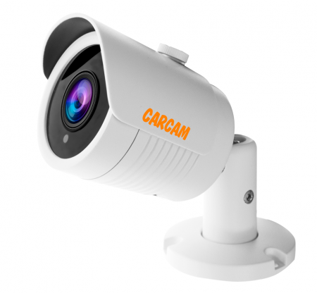 Купить Муляж CARCAM CAM-592