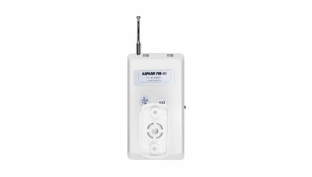 Купить CARCAM PIR-01