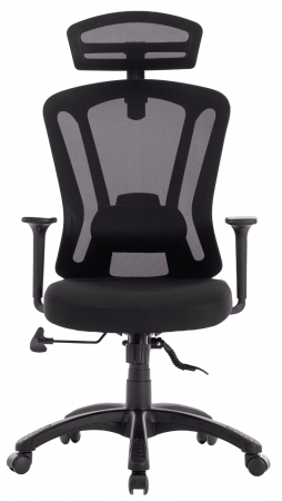 Купить Xiaomi Ergonomic Office Chair (XMGMP007) Black