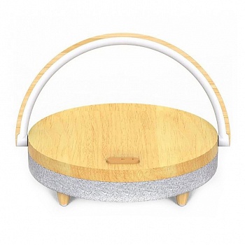 1-kolonka-s-funktsiej-besprovodnoj-zaryadki-ezvalo-wireless-charger-music-lamp-derevo-lyyd01.330x300