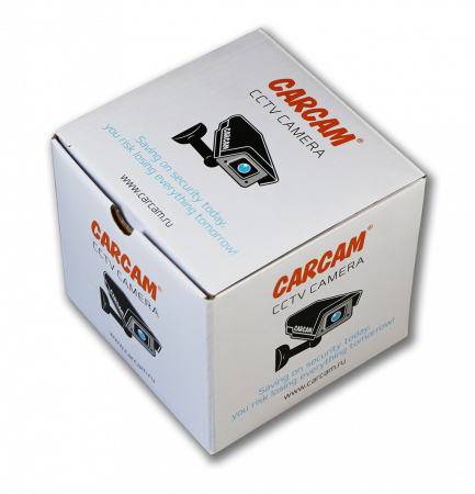 Купить CARCAM CAM-4889P