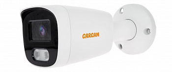 Купить CARCAM CAM-5693P