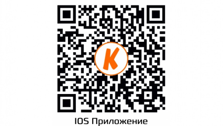 Купить CARCAM CAM-1891P