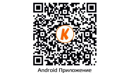Купить CARCAM CAM-1890VP