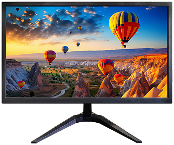 Купить CARCAM CCTV Monitor (CC20AW)