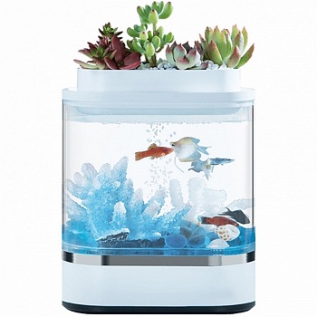Аква-ферма Xiaomi Descriptive Geometry Mini Lazy Fish Tank (HF-JHYG005)