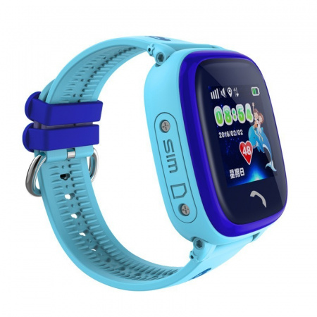 Купить CARCAM GW400S Blue