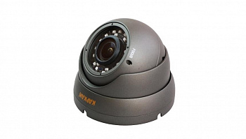Купить Муляж CARCAM КАМ-2885PSD
