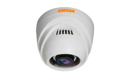 Купить Муляж CARCAM CAM-826