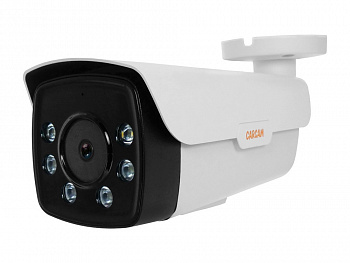 Купить CARCAM CAM-8685PSDR