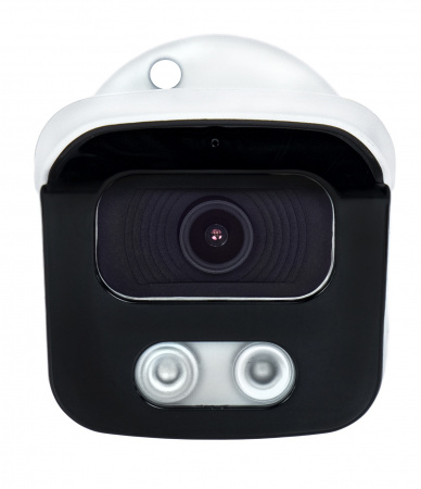 Купить CARCAM CAM-8662P